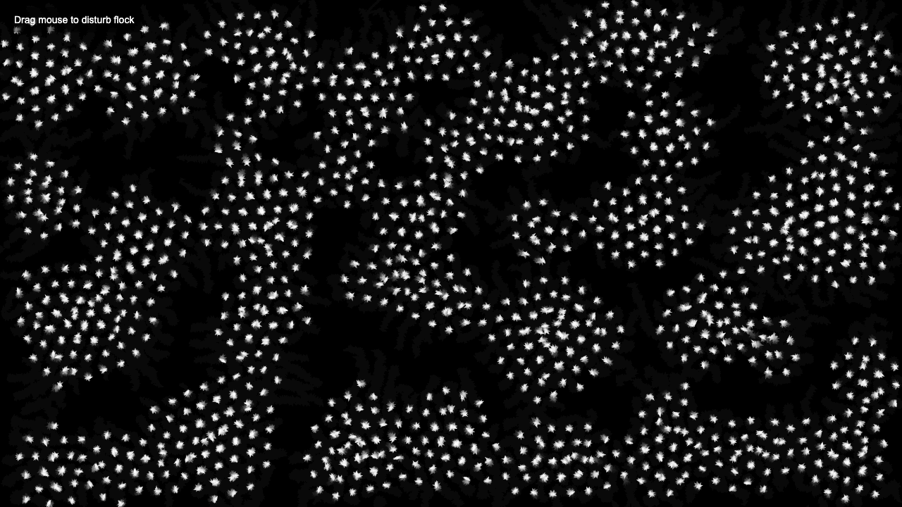 Qwen 3.7 on Boids